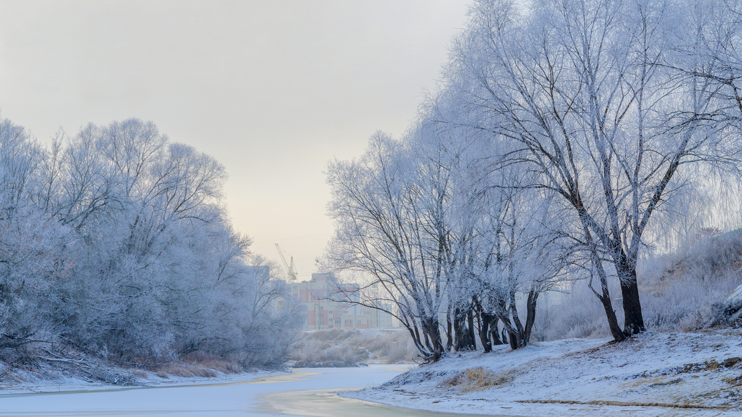 December Delight: Elevating Your Yoga Practice Amidst Winter's Embrace Playlist